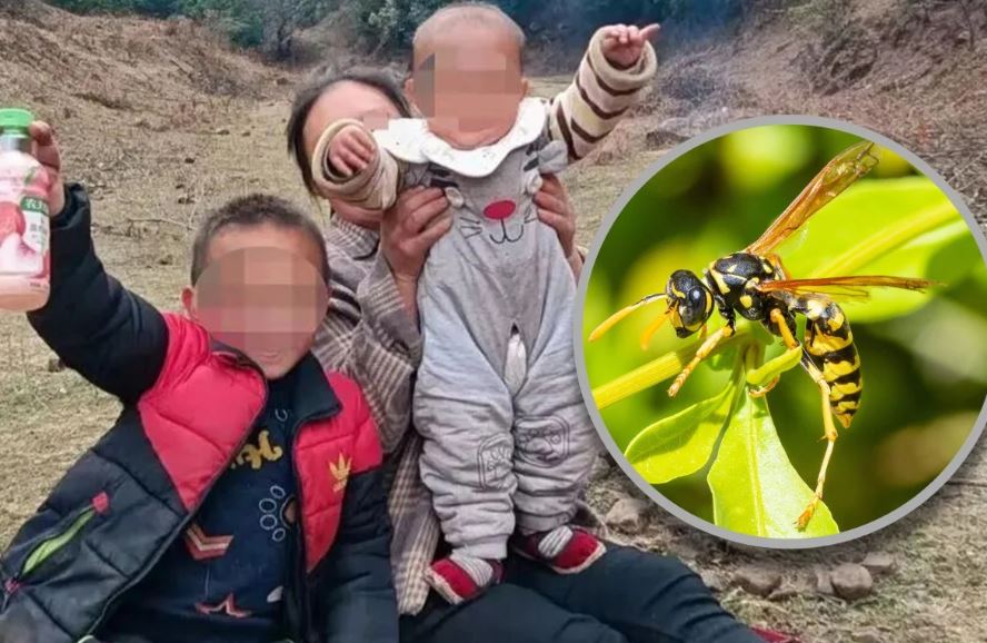 Nghe tiếng hét trong rừng, người dân đến kiểm tra thì chứng kiến cảnh đáng sợ- Ảnh 1. Nghe tiếng hét trong rừng, người dân đến kiểm tra thì chứng kiến cảnh đáng sợ- Ảnh 1.