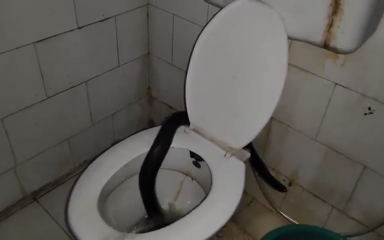 Đang ngồi trong sân bay, người đàn ông 33 tuổi hoảng loạn la hét khi gặp sự cố "đáng sợ"- Ảnh 2.