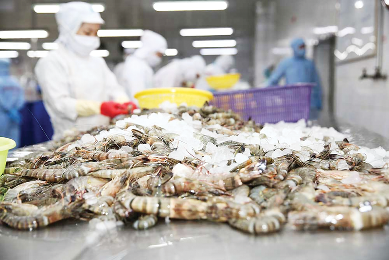 Xuất khẩu tôm Việt Nam vượt 2,9 tỷ USD với nhiều điểm sáng tại Trung Quốc và EU- Ảnh 1.