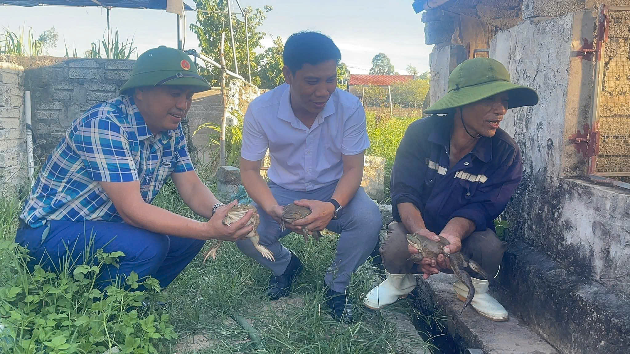 Nuôi con ngồi “chồm hổm” lão nông lãi hơn nửa tỷ mỗi năm - Ảnh 7.