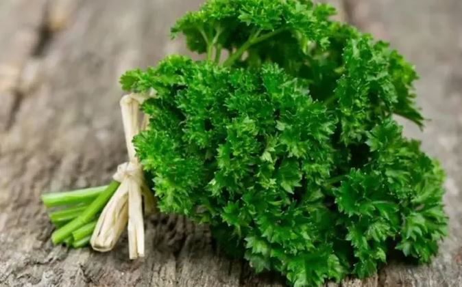 Loại rau được đánh giá "tốt bậc nhất thế giới", hoá ra là rau quen thuộc ở Việt Nam, ở quê mọc um tùm như cỏ - Ảnh 1.