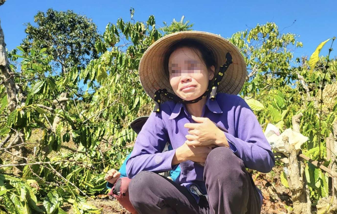 Diễn biến bất ngờ vụ anh rể phá vườn cây "đòi quan hệ với em vợ" - Ảnh 1.