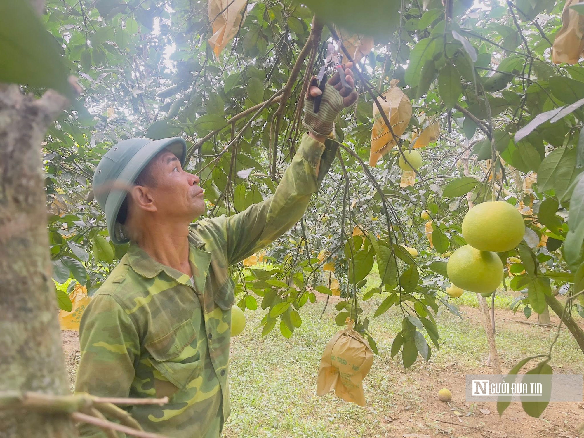 Bài 2: Quảng bá sản phẩm trên nền tảng số, mở rộng thị trường “đệ nhất danh quả” Hà Tĩnh - Ảnh 1.
