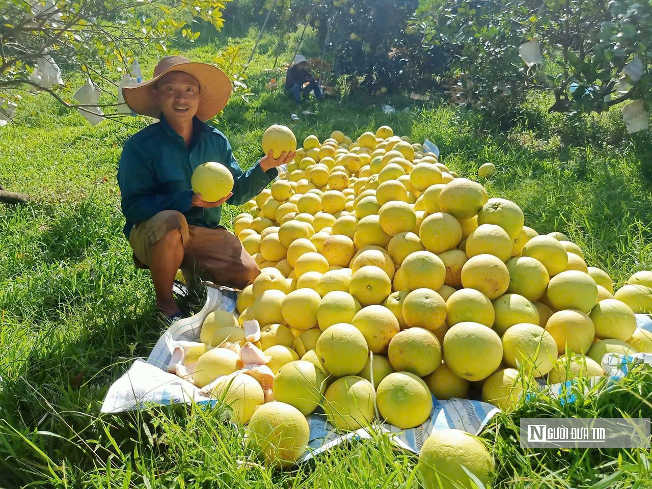Bài 2: Quảng bá sản phẩm trên nền tảng số, mở rộng thị trường “đệ nhất danh quả” Hà Tĩnh - Ảnh 4.