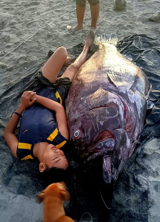 Ngư dân bắt được cá mú khổng lồ nặng 141 kg trên biển - Ảnh 1.