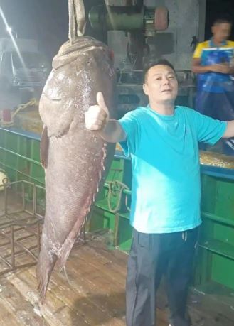 Ngư dân bắt được con cá mú khổng lồ nặng 125kg, giá 127 triệu đồng - Ảnh 1.