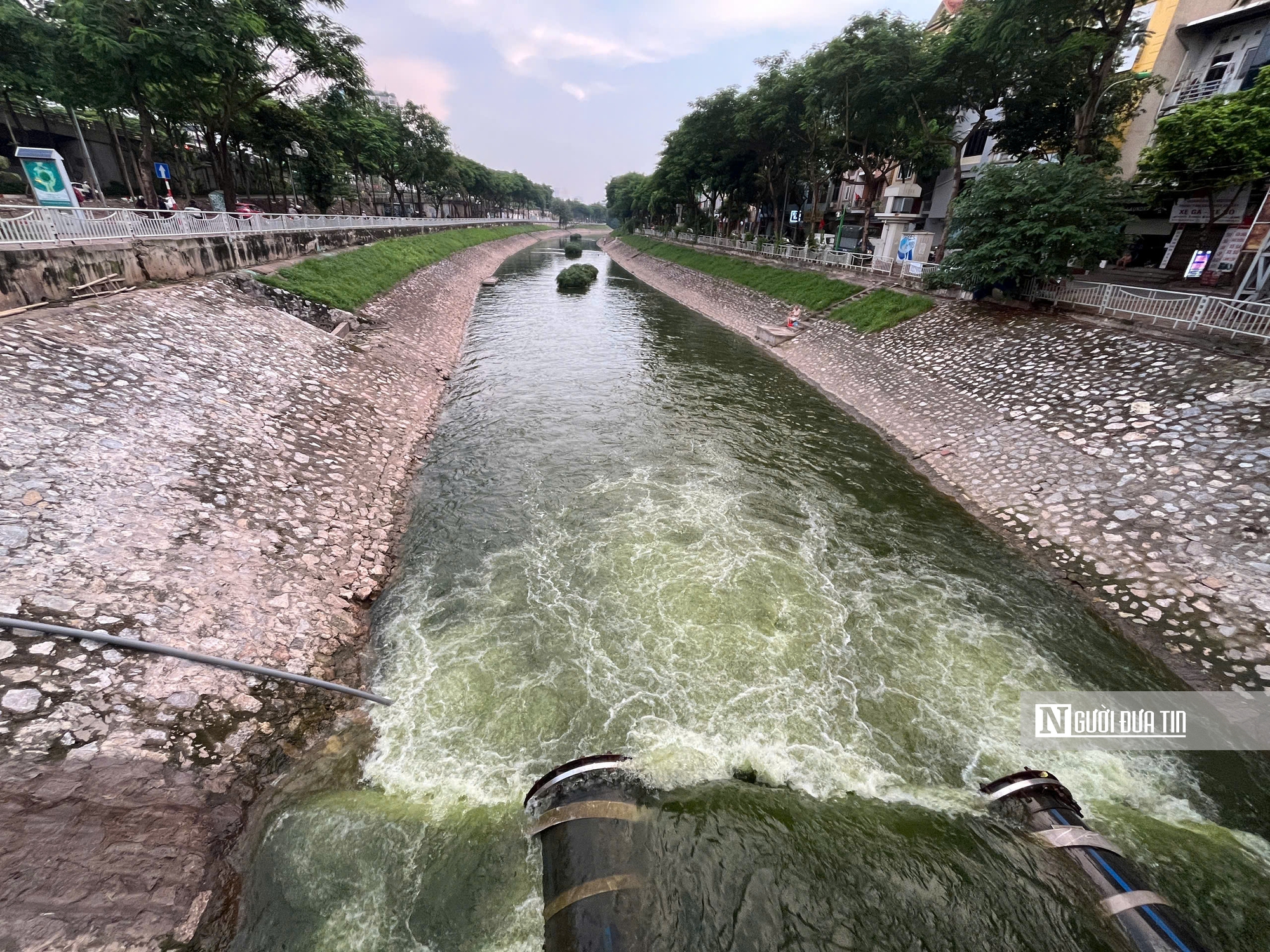 Hà Nội: Sông Tô Lịch đổi màu xanh lạ, hút người dân ra câu cá - Ảnh 1.