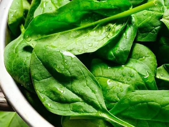 Loại rau được đánh giá "tốt bậc nhất thế giới", hoá ra là rau quen thuộc với người Việt, ở chợ giá rẻ bèo- Ảnh 1. Loại rau được đánh giá "tốt bậc nhất thế giới", hoá ra là rau quen thuộc với người Việt, ở chợ giá rẻ bèo- Ảnh 1.