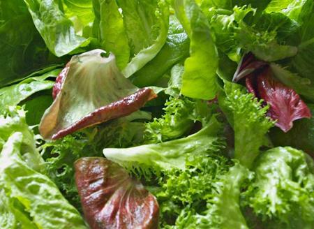 Loại rau được đánh giá "tốt bậc nhất thế giới", hoá ra là rau bình dân rẻ bèo ở Việt Nam - Ảnh 1.