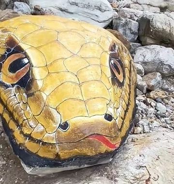 "Đầu trăn khổng lồ" xuất hiện giữa suối, khách du lịch hoảng loạn, sợ hãi - Ảnh 1.