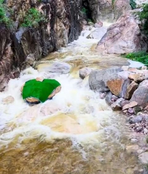 "Đầu trăn khổng lồ" xuất hiện giữa suối, khách du lịch hoảng loạn, sợ hãi - Ảnh 2.