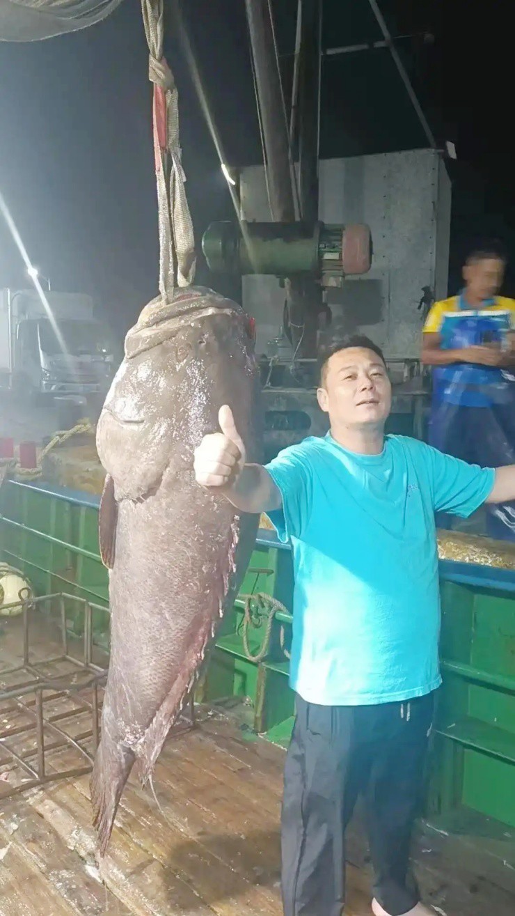 Giữa đêm bắt được "quái ngư" dài 1,8m, người đàn ông bán vội thu ngay 127 triệu đồng - Ảnh 1.