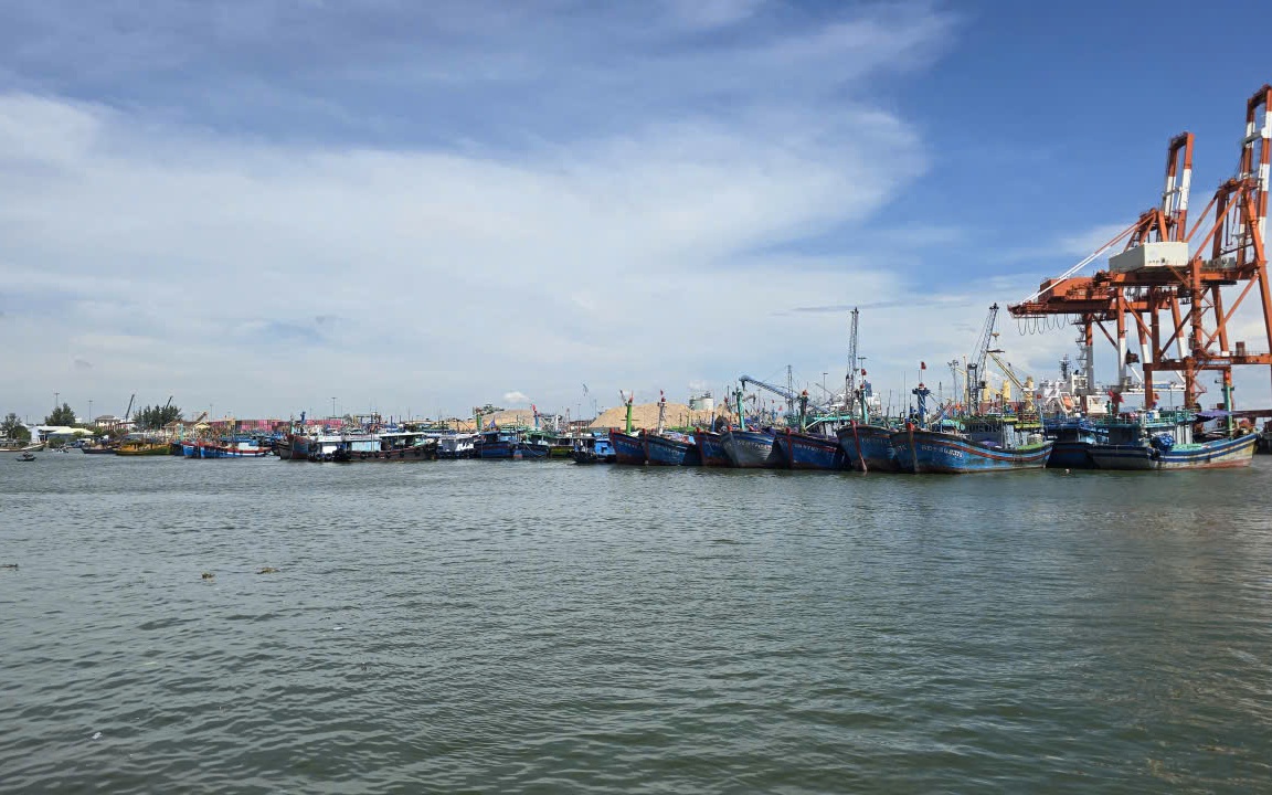 Gia Lai: Tàu cá cùng 8 thuyền viên mất liên lạc nhiều ngày trên biển- Ảnh 2.