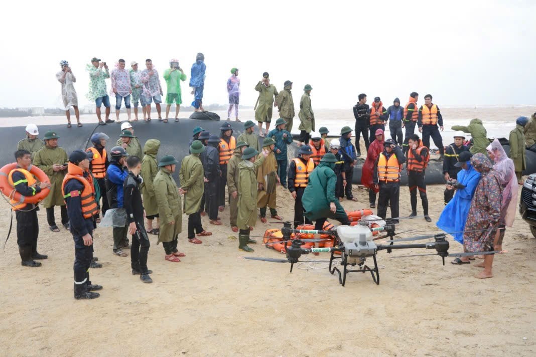 Quảng Trị: 3 người mất tích, di dời hơn 2.300 người dân trước giờ bão đổ bộ- Ảnh 5.