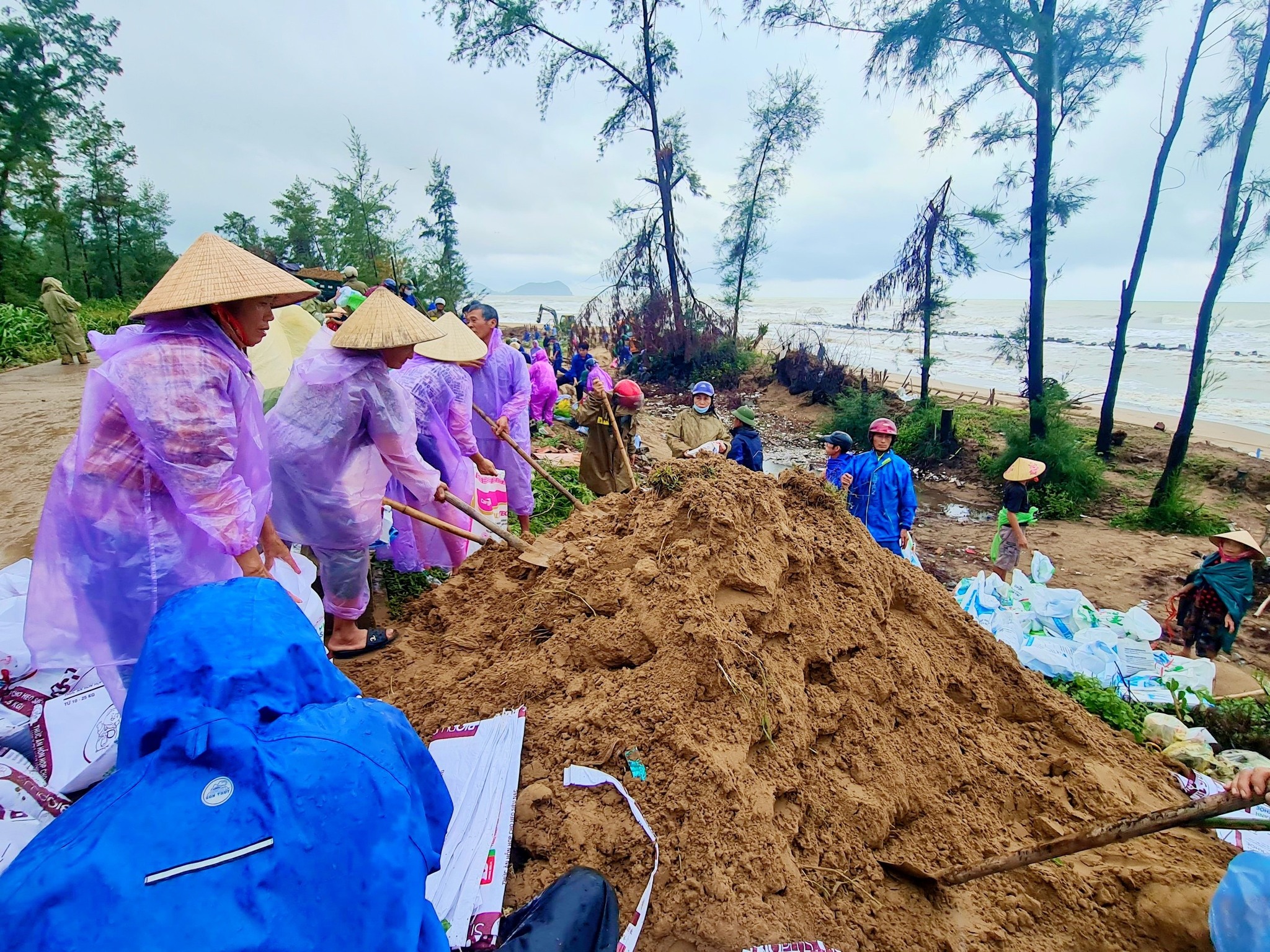 Hà Tĩnh: Hàng trăm người đội mưa gia cố đê biển phòng chống bão số 10- Ảnh 3.