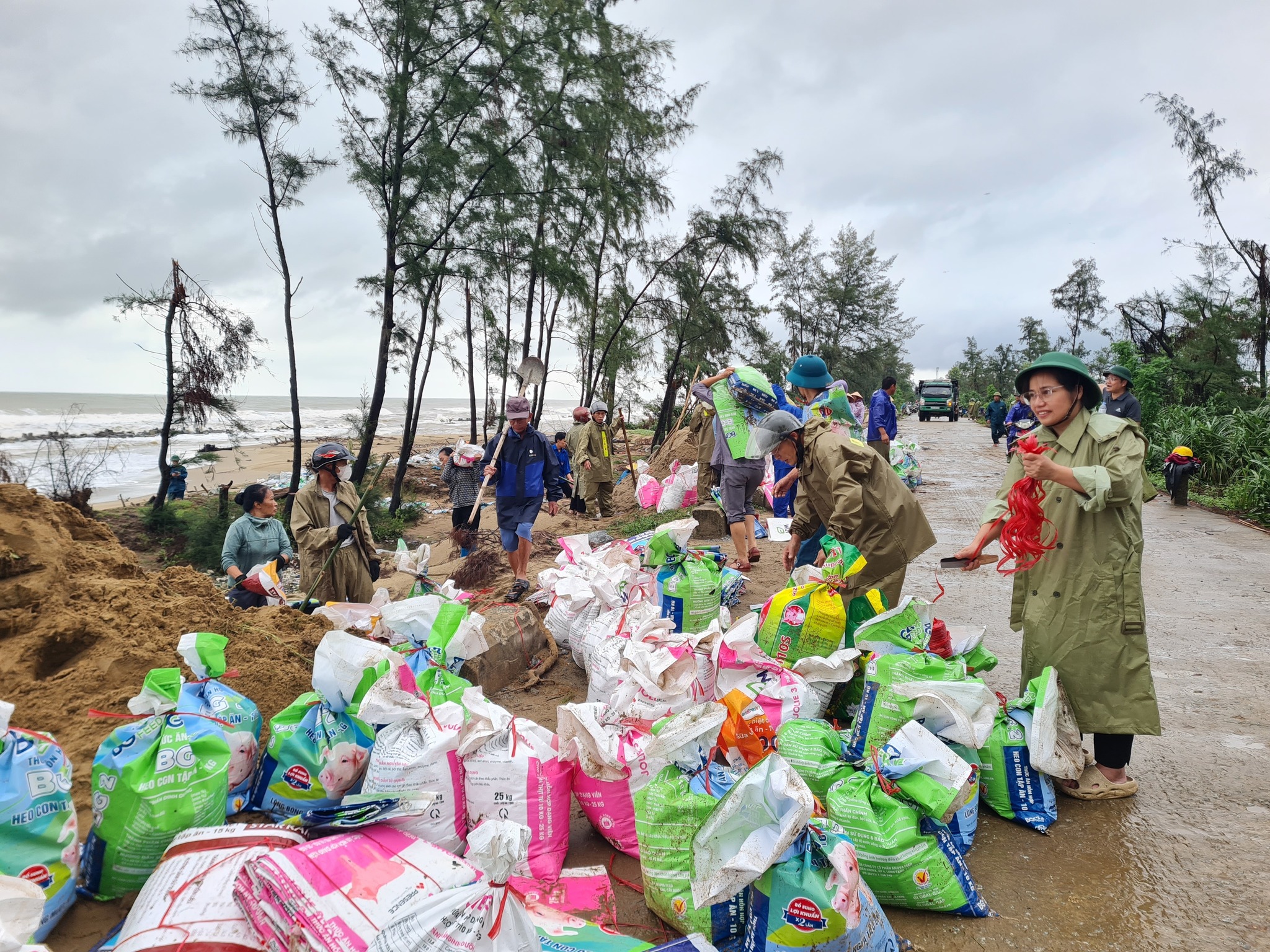 Hà Tĩnh: Hàng trăm người đội mưa gia cố đê biển phòng chống bão số 10- Ảnh 5.