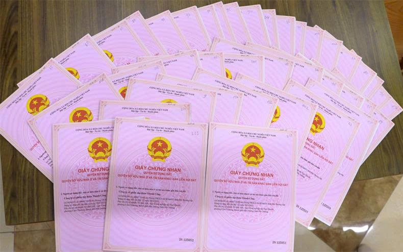 Bản tin 30/9: Dạy thêm sai quy định, giáo viên có thể bị phạt đến 20 triệu đồng - Ảnh 2.