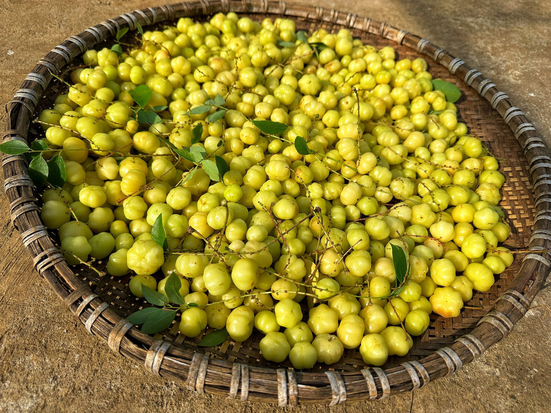 Loại quả tên lạ với hương vị chua chua ngọt ngọt nhưng lại có rất nhiều lợi ích cho sức khỏe - Ảnh 1.