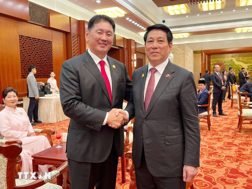 Chủ tịch nước Lương Cường gặp gỡ lãnh đạo nhiều nước tại Trung Quốc- Ảnh 4.