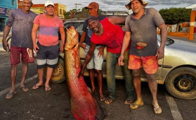 Ngư dân bắt được con cá khổng lồ dài 2,15 mét, nặng 92kg trên sông - Ảnh 1.