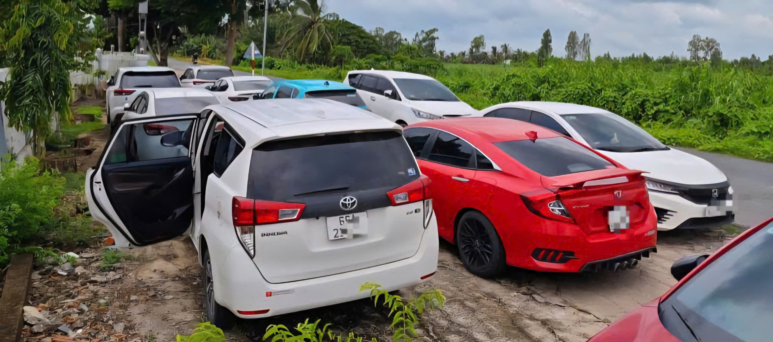 Cần Thơ truy tìm nhiều đối tượng liên quan vụ đá gà ăn tiền hơn 1,6 tỷ đồng- Ảnh 2.