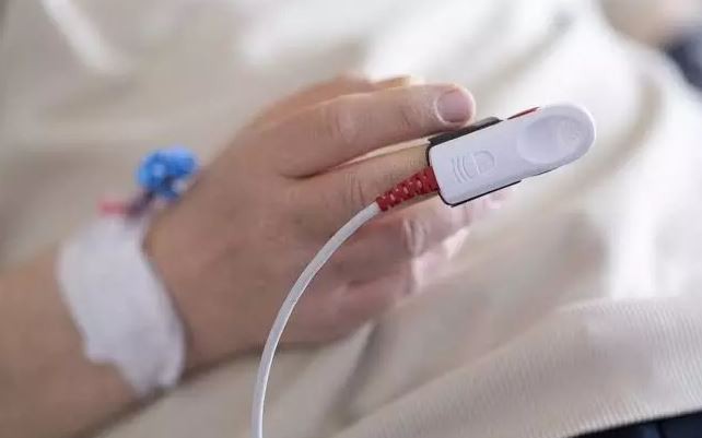 Bắt con vật quen thuộc trong vườn nhà ăn, 9 học sinh phải nhập viện gấp - Ảnh 2.
