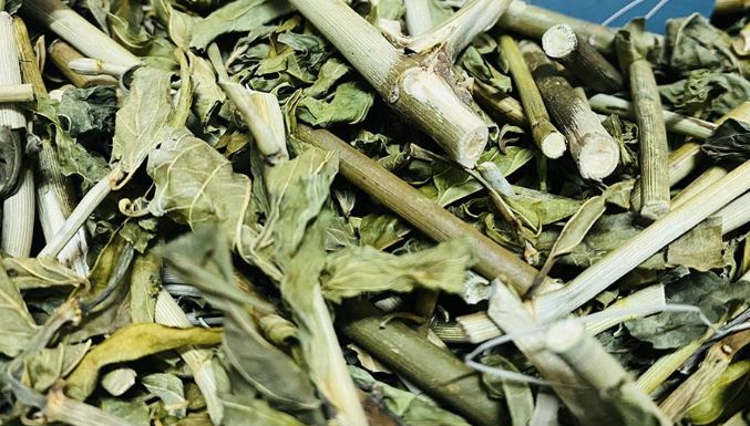 Cây dại mọc đầy bờ rào xưa không ai "ngó", nay thành đặc sản dân phố thích mê, 100.000 đồng/kg - Ảnh 4.