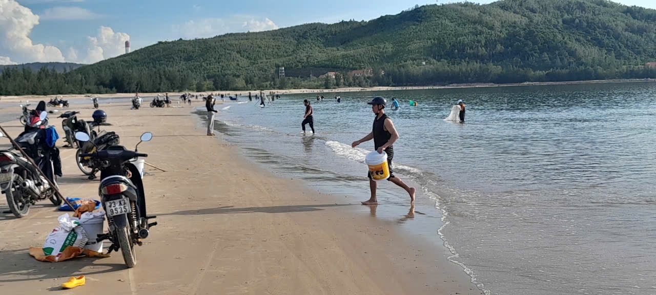 Ruốc về bờ dày đặc, hàng trăm người dân ra bãi biển vớt thu tiền triệu- Ảnh 2. Ruốc về bờ dày đặc, hàng trăm người dân ra bãi biển vớt thu tiền triệu- Ảnh 2.