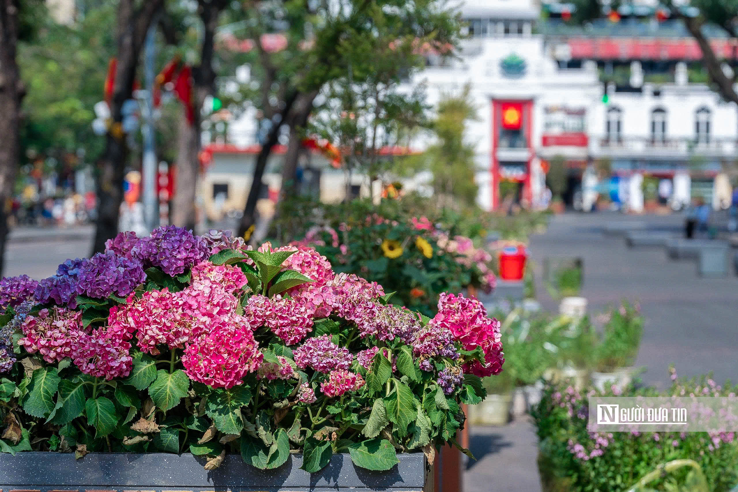 Hà Nội: Diện mạo mới của Quảng trường Đông Kinh Nghĩa Thục- Ảnh 7. Hà Nội: Diện mạo mới của Quảng trường Đông Kinh Nghĩa Thục- Ảnh 7.
