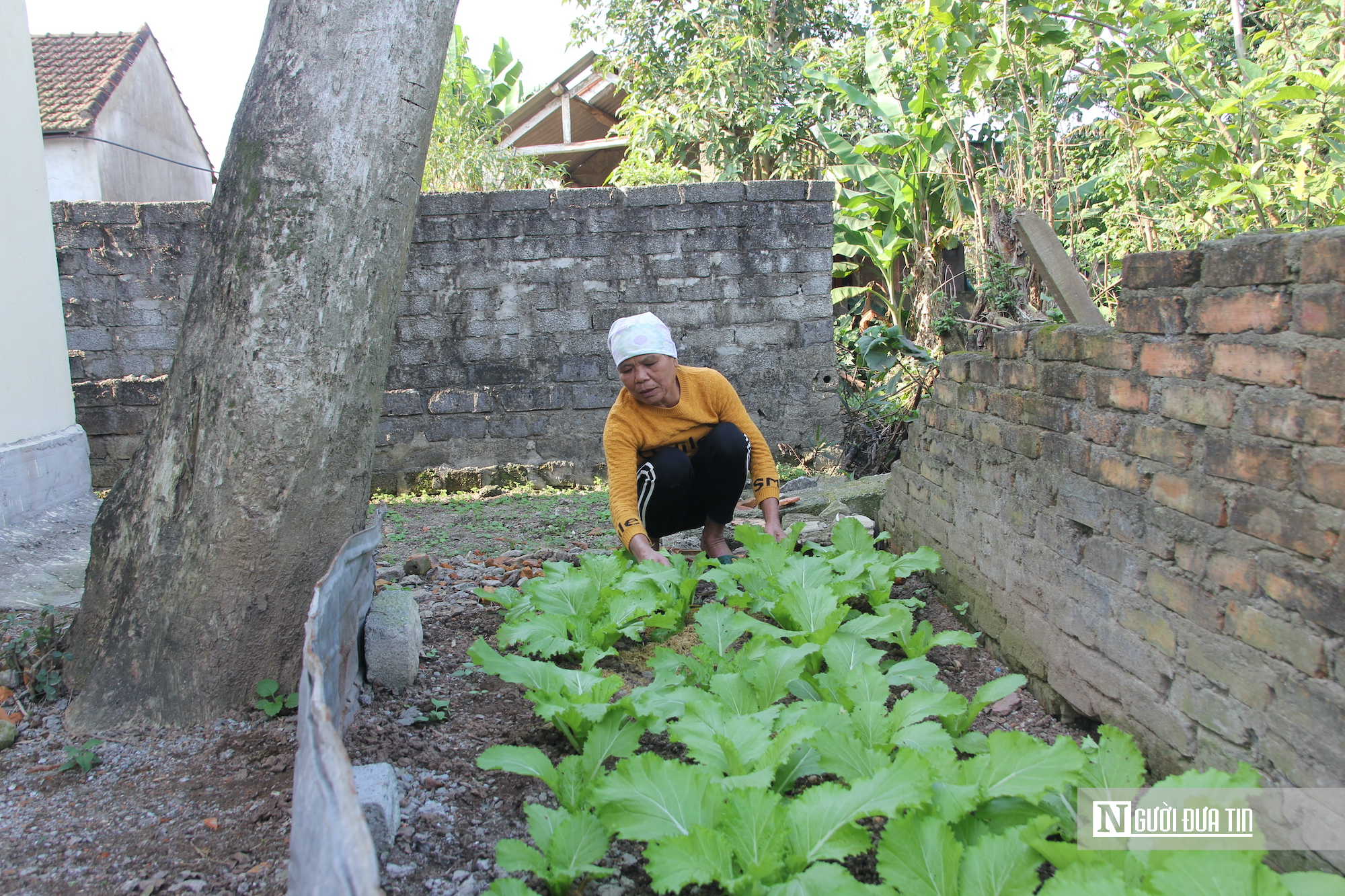 Thần tốc thực hiện “Chiến dịch Quang Trung” ở Hà Tĩnh – Bài 1: Dựng nhà bằng mệnh lệnh từ trái tim!- Ảnh 4. Thần tốc thực hiện “Chiến dịch Quang Trung” ở Hà Tĩnh – Bài 1: Dựng nhà bằng mệnh lệnh từ trái tim!- Ảnh 4.