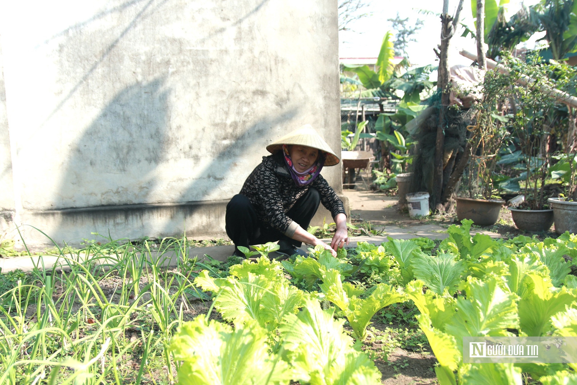 Thần tốc thực hiện &ldquo;Chiến dịch Quang Trung&rdquo; ở H&agrave; Tĩnh &ndash; B&agrave;i 3: Điểm tựa để người d&acirc;n vui Xu&acirc;n, đ&oacute;n Tết - Ảnh 3.