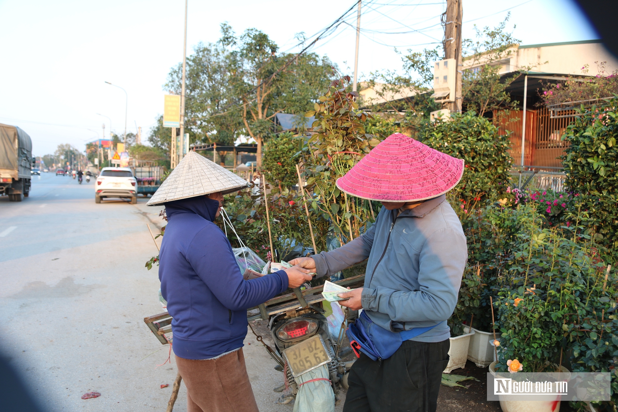 Nghệ An: Thị trường hoa c&acirc;y cảnh Tết đ&atilde; khởi động, người d&acirc;n "tranh thủ" đ&oacute;n xu&acirc;n sớm- Ảnh 10.