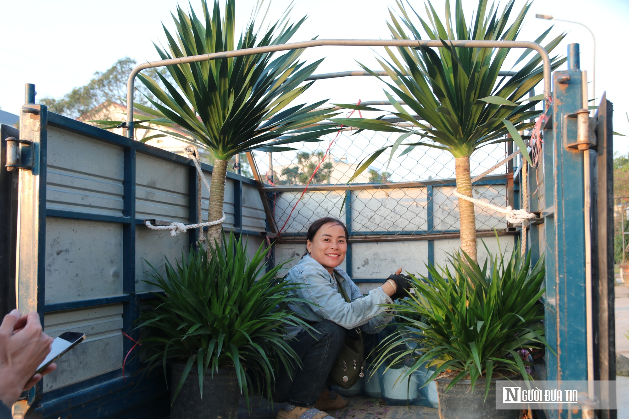 Nghệ An: Thị trường hoa c&acirc;y cảnh Tết đ&atilde; khởi động, người d&acirc;n "tranh thủ" đ&oacute;n xu&acirc;n sớm- Ảnh 15.