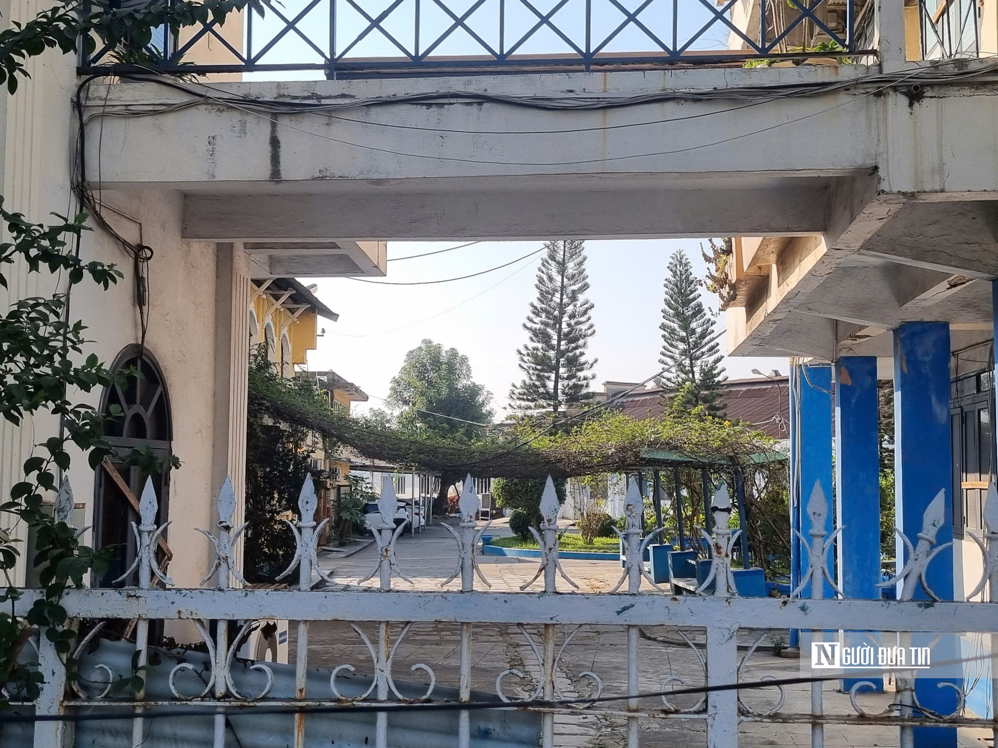 TGĐ Đồ hộp Hạ Long vừa bị bắt: Thu nhập tiền tỷ mỗi năm- Ảnh 3. TGĐ Đồ hộp Hạ Long vừa bị bắt: Thu nhập tiền tỷ mỗi năm- Ảnh 3.