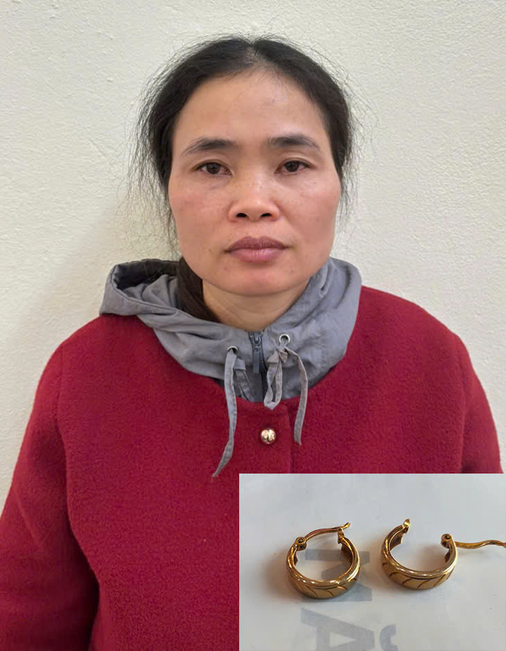 Phá án thần tốc vụ sát hại người phụ nữ điếc: Hung thủ không ai ngờ tới- Ảnh 2.