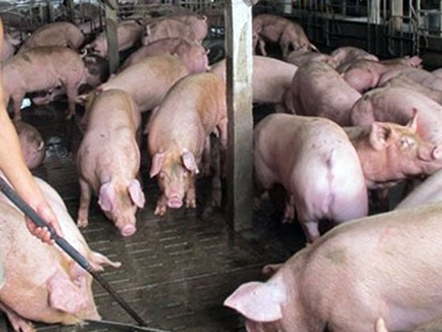 Bi kịch đau đớn sau trúng số: Từ tỷ phú đến “hóa kiếp” cuộc đời - Ảnh 3.