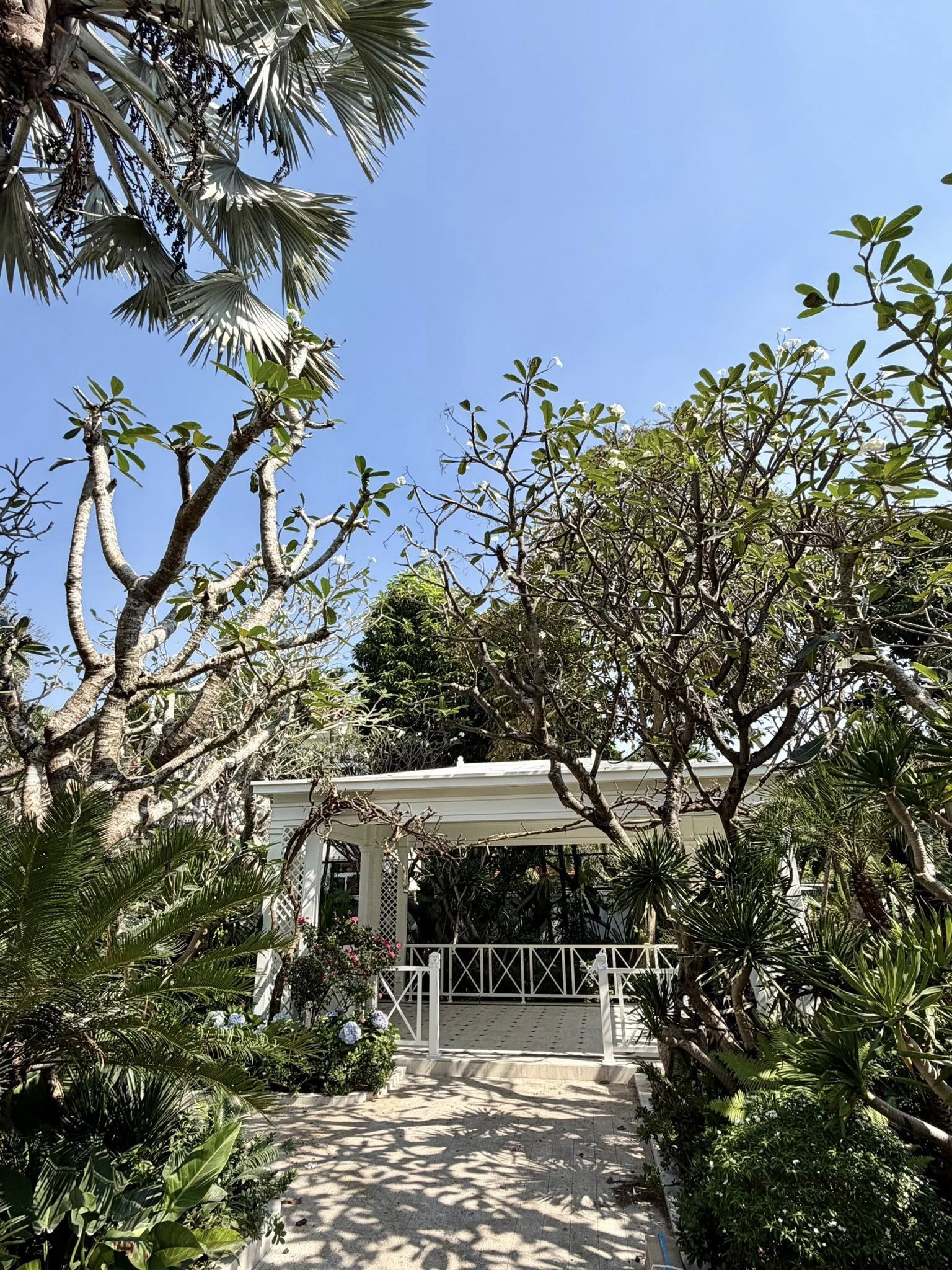 H&eacute; lộ biệt thự rộng 2.000m2 đầy c&acirc;y xanh của nh&agrave; thiết kế đ&igrave;nh đ&aacute;m trong showbiz Việt- Ảnh 3.