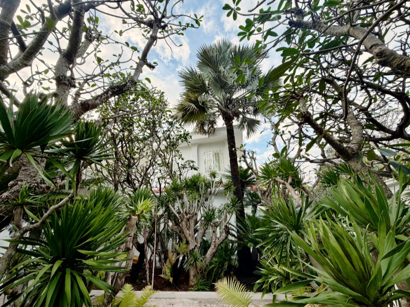 H&eacute; lộ biệt thự rộng 2.000m2 đầy c&acirc;y xanh của nh&agrave; thiết kế đ&igrave;nh đ&aacute;m trong showbiz Việt- Ảnh 4.