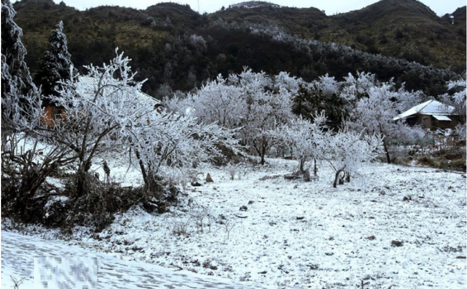 Dự báo thời tiết 12/1: Miền Bắc đón đợt không khí lạnh  mạnh, nơi rét đậm nhất dưới 6 độ C- Ảnh 1.