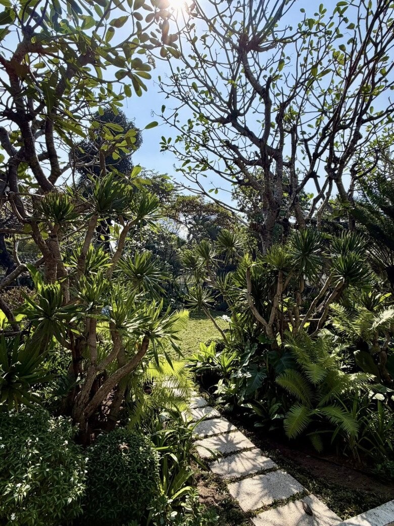 H&eacute; lộ biệt thự rộng 2.000m2 đầy c&acirc;y xanh của nh&agrave; thiết kế đ&igrave;nh đ&aacute;m trong showbiz Việt- Ảnh 15.