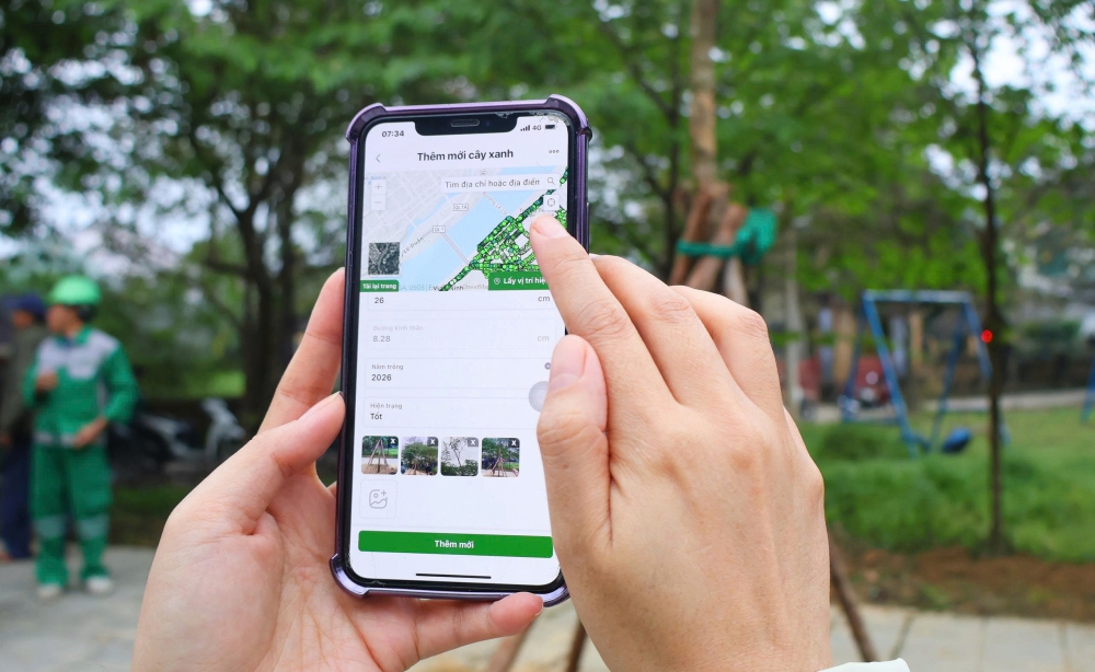 Huế lập 'hồ sơ sức khỏe' cho cây xanh đô thị- Ảnh 1.