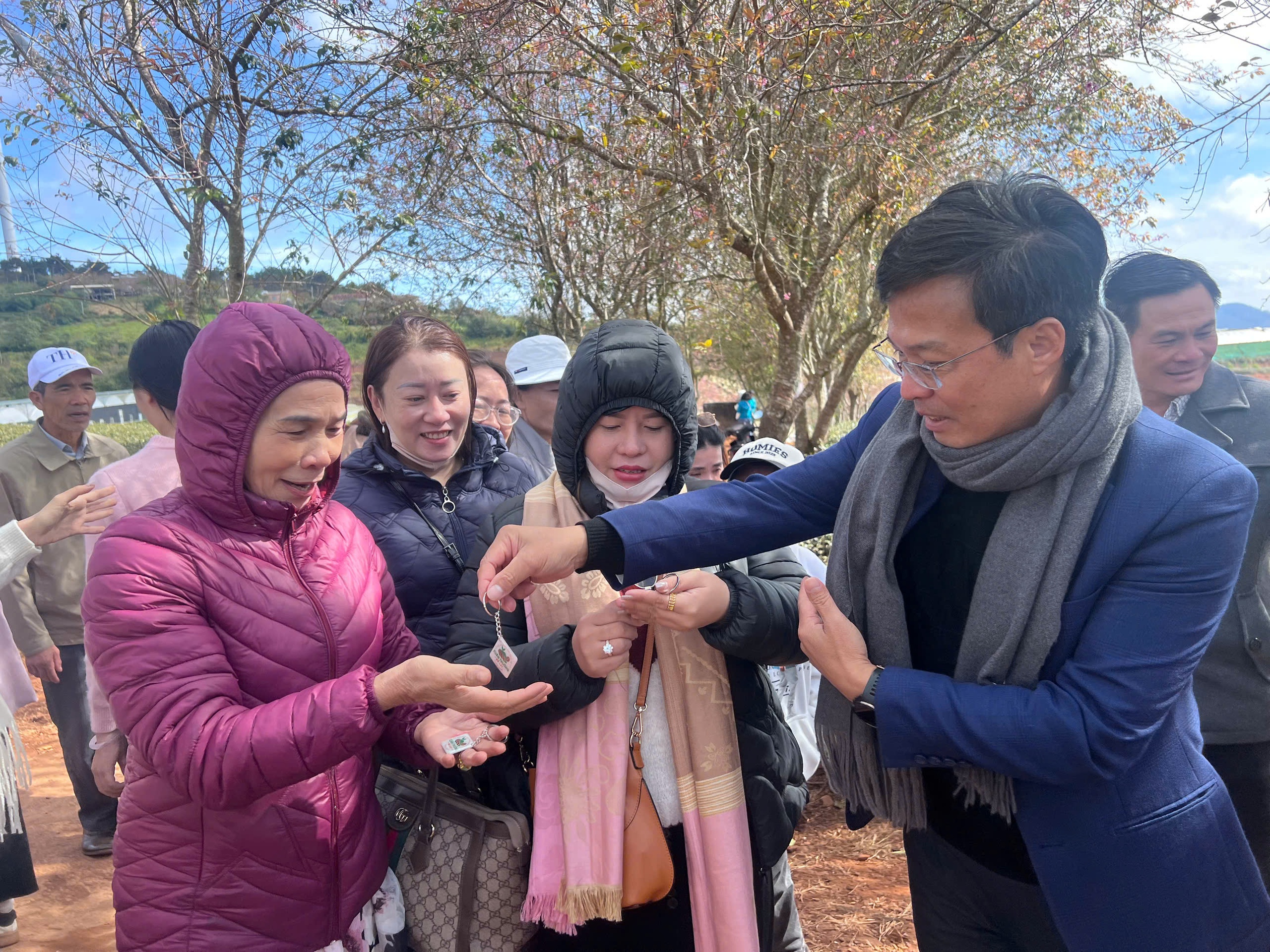 Mai anh đào nhuộm hồng Đồi chè Cầu Đất – Đà Lạt, du khách nườm nượp check-in đầu xuân- Ảnh 4.