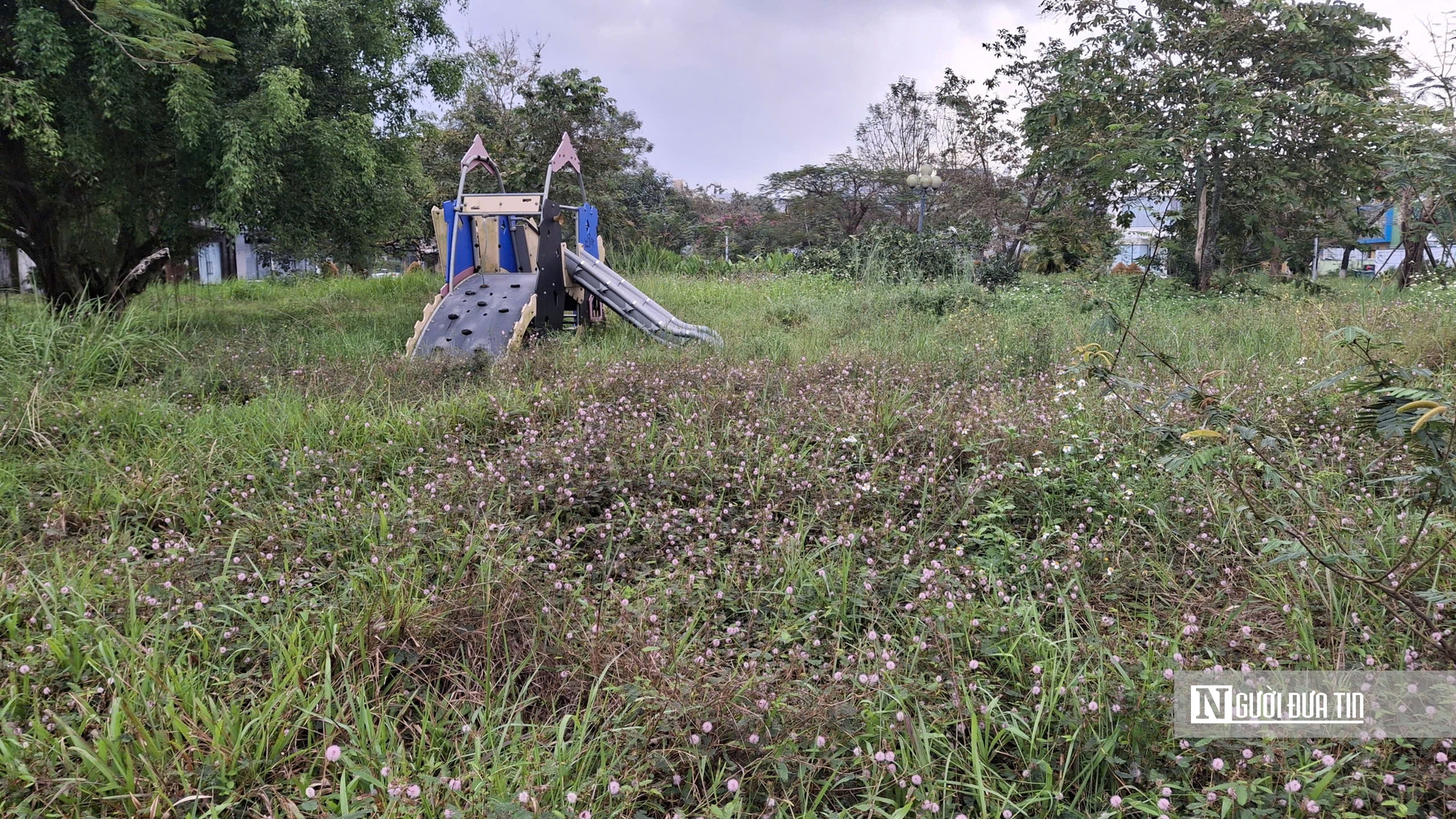 Quảng Ng&atilde;i: Khu d&acirc;n cư 15 năm dang dở, c&ocirc;ng vi&ecirc;n biến th&agrave;nh s&acirc;n b&oacute;ng, s&acirc;n tenis- Ảnh 2.