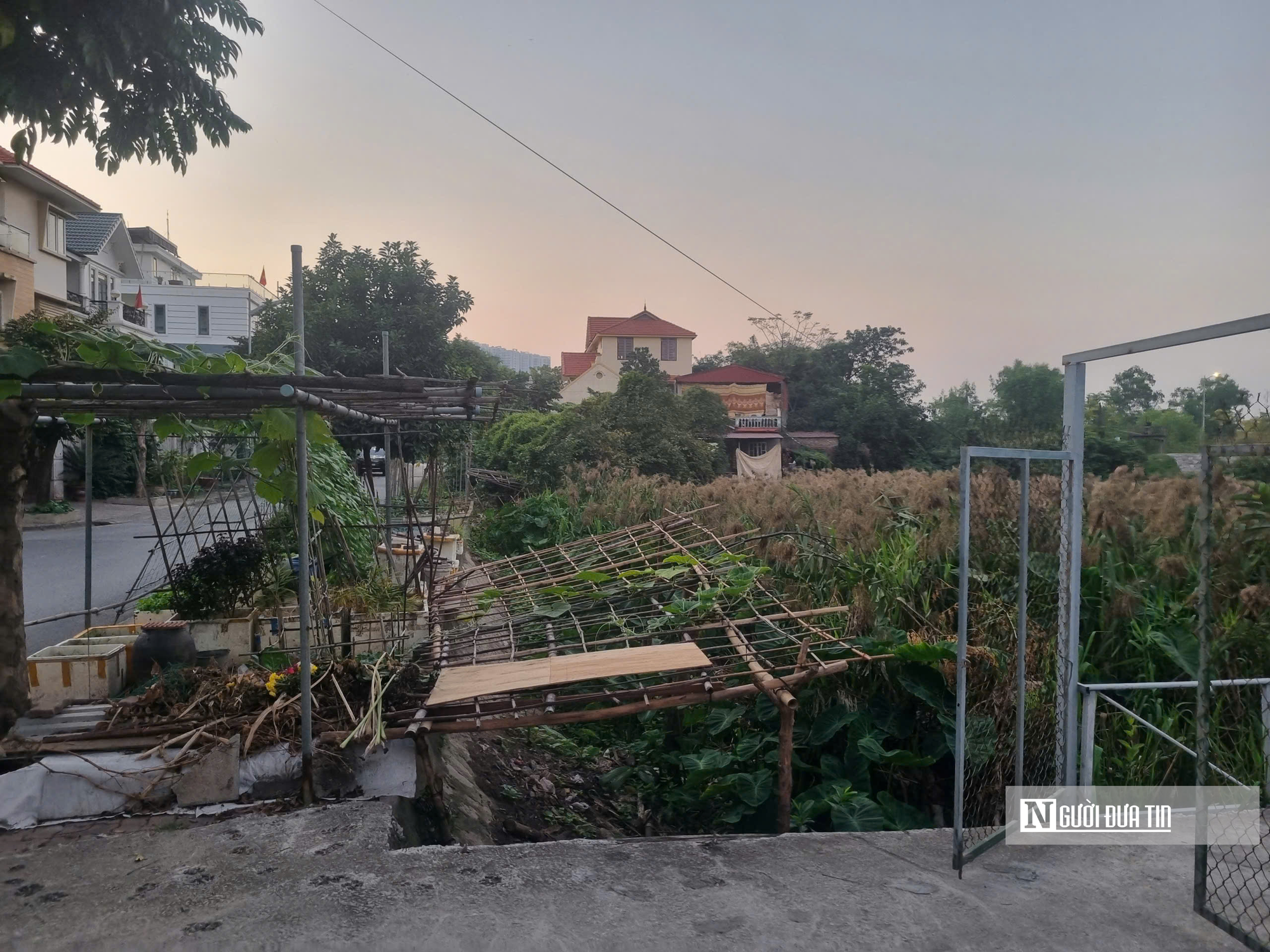 Hải Ph&ograve;ng gỡ vướng chuyển mục đ&iacute;ch sử dụng đất n&ocirc;ng nghiệp- Ảnh 5.