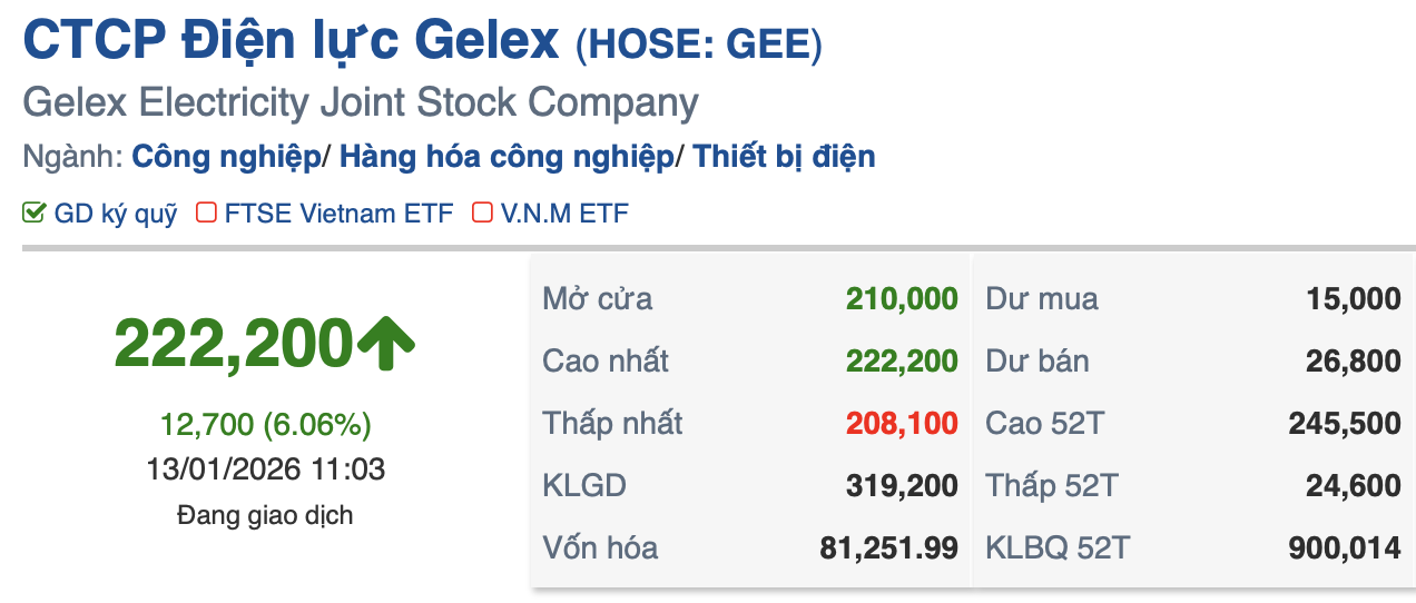 Nhóm cổ phiếu Gelex đồng loạt bứt tốc, dòng tiền đổ mạnh giữa sóng lợi nhuận khủng của VIX- Ảnh 2. Nhóm cổ phiếu Gelex đồng loạt bứt tốc, dòng tiền đổ mạnh giữa sóng lợi nhuận khủng của VIX- Ảnh 2.