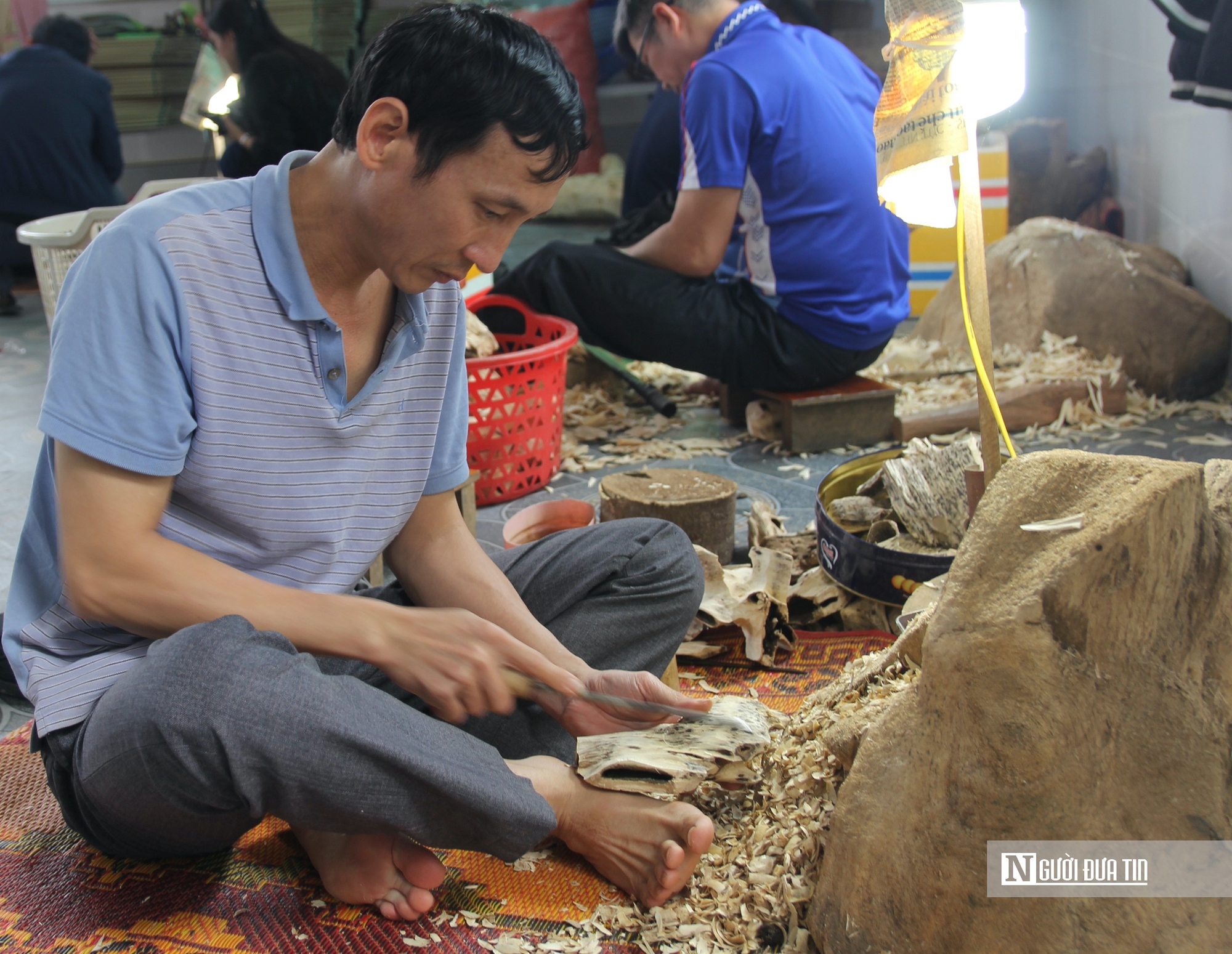 Nghề đục ruột c&acirc;y tất bật v&agrave;o vụ Tết - Ảnh 1.