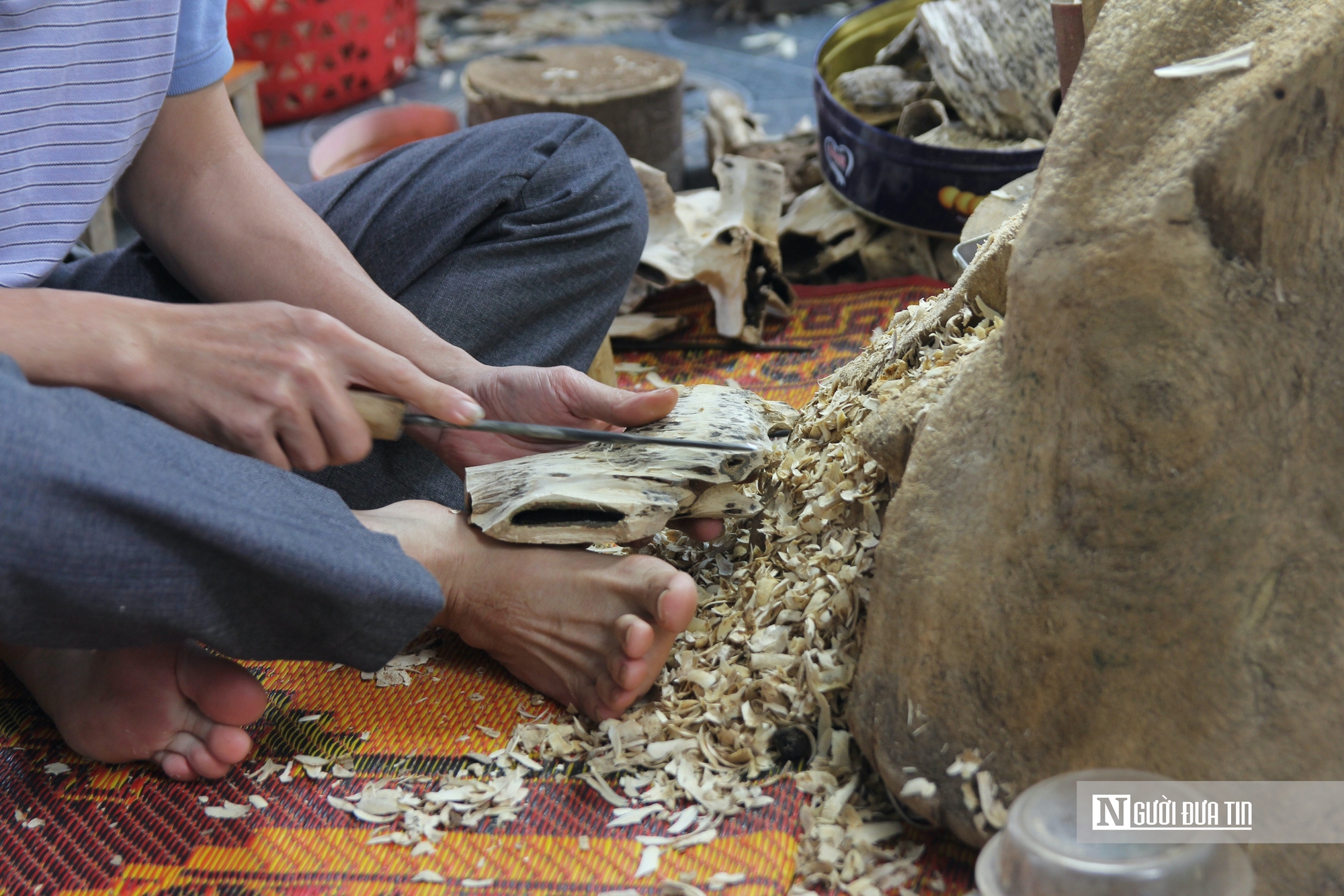 Nghề đục ruột c&acirc;y tất bật v&agrave;o vụ Tết - Ảnh 2.