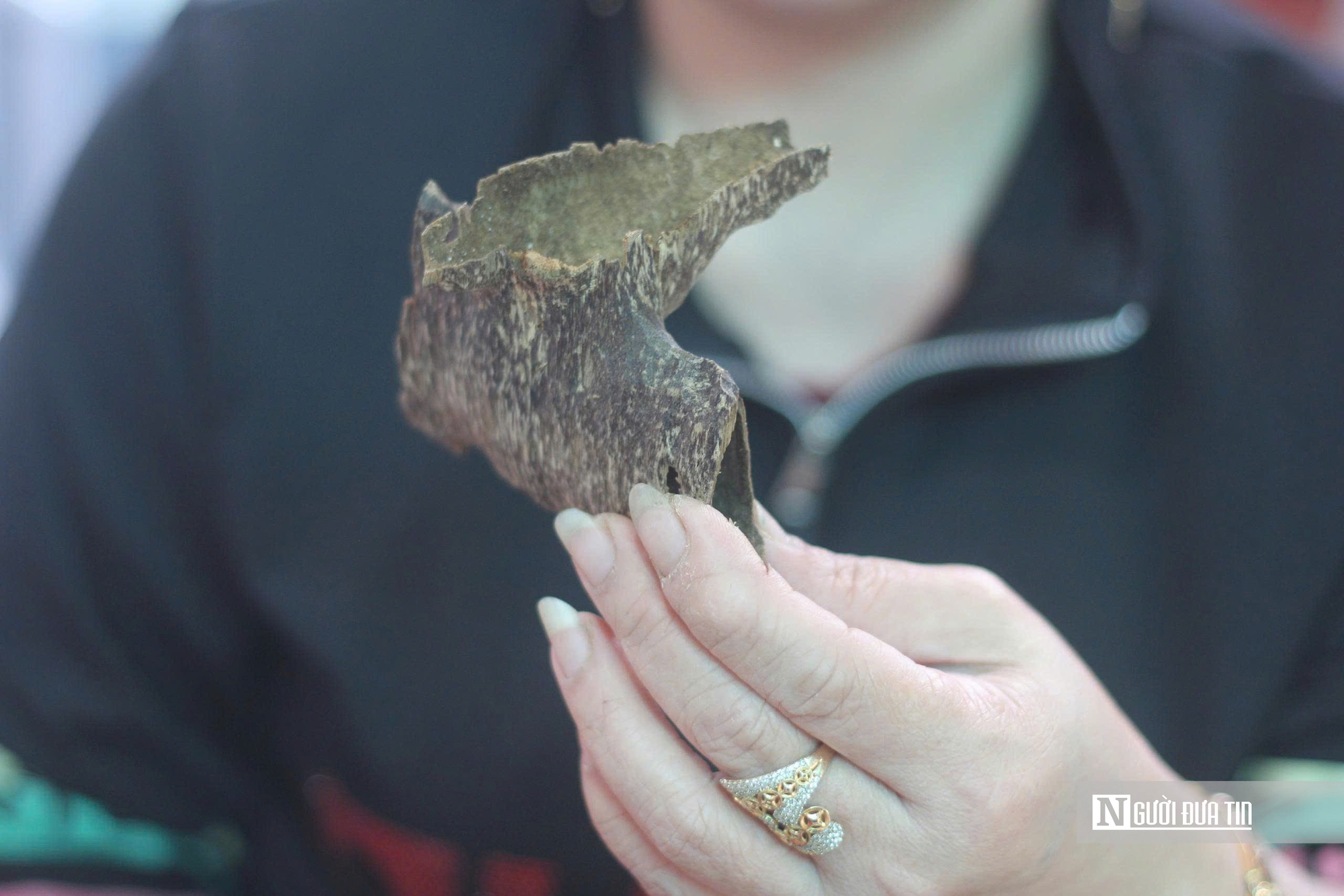 Nghề đục ruột c&acirc;y tất bật v&agrave;o vụ Tết - Ảnh 4.