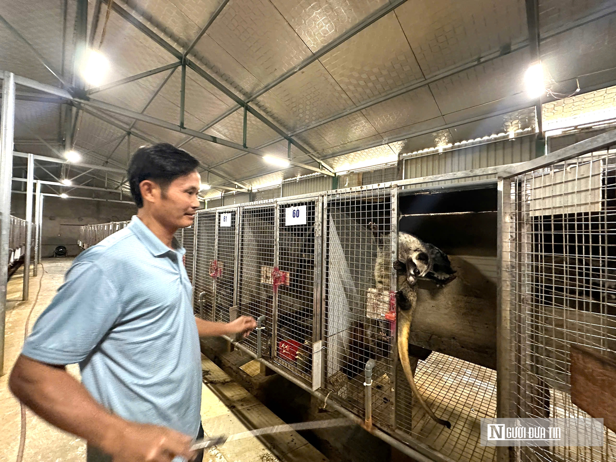 Về qu&ecirc; nu&ocirc;i 70 &ldquo;con kh&oacute; t&iacute;nh&rdquo;, sau 3 năm người đ&agrave;n &ocirc;ng gặt h&aacute;i cơ ngơi tiền tỷ - Ảnh 1.