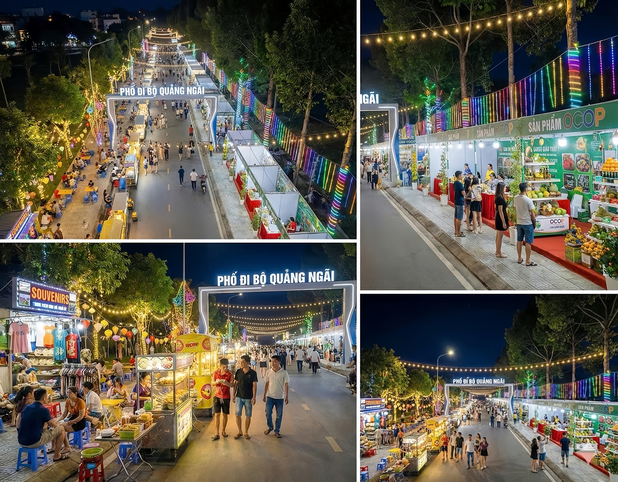 Toàn cảnh khu vực sẽ “lột xác” thành phố đi bộ ven sông của Quảng Ngãi- Ảnh 9.